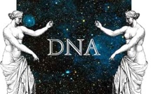 DNA (Cerrone XVII) - Album 2020